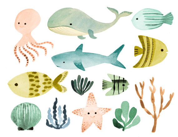570x440 Ocean Animals - Watercolor Sea Animals