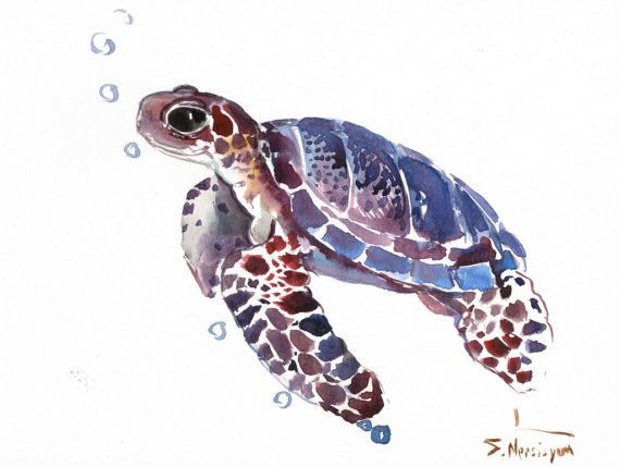 570x429 Sea Turtle, Original Watercolor Painting, 9 X 12 In, Sea Animal - Watercolor Sea Animals
