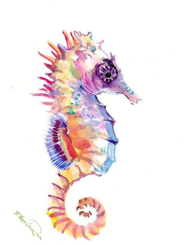 617x820 Seahorse Art, One Of A Kind Original Watercolor Painting Sea World - Watercolor Sea Animals
