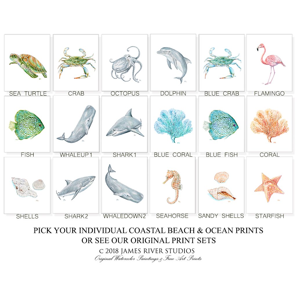 1024x1024 Seahorse Print - Watercolor Sea Animals