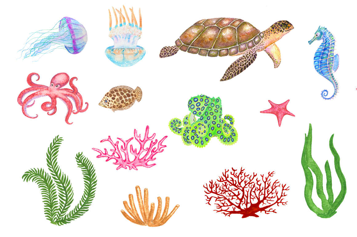 1160x771 Set Of Watercolor Sea Creatures - Watercolor Sea Animals