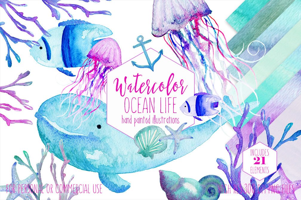 1008x671 Watercolor Ocean Life Clipart Commercial Use Clip Art Watercolour - Watercolor Sea Animals