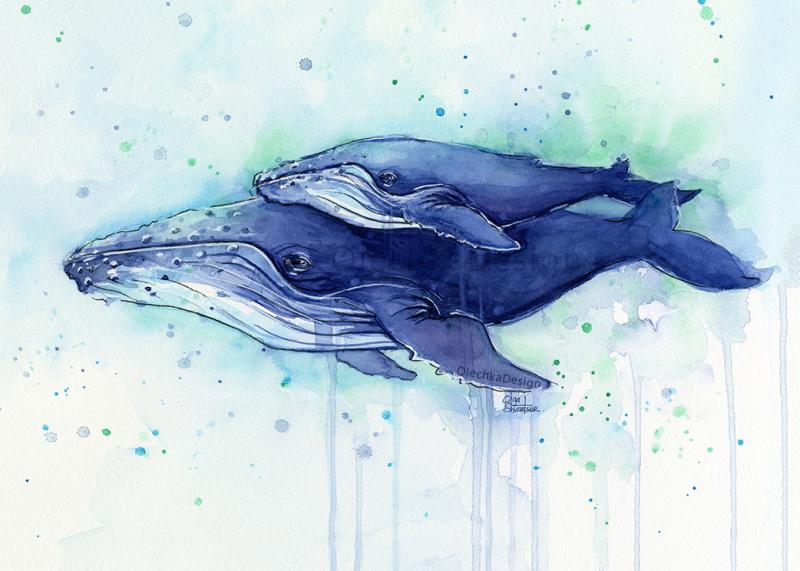 800x571 Watercolor Sea Creatures - Watercolor Sea Animals