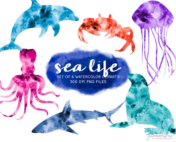 570x459 Watercolor Ocean Animals Clipart Sea Life Watercolor Clipart Etsy - Watercolor Sea Animals