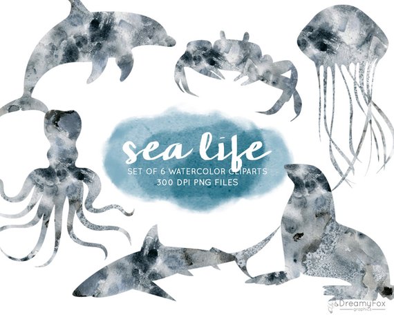 570x459 Watercolor Sea Animals Clip Art Set Sea Life Clipart Ocean Etsy - Watercolor Sea Animals