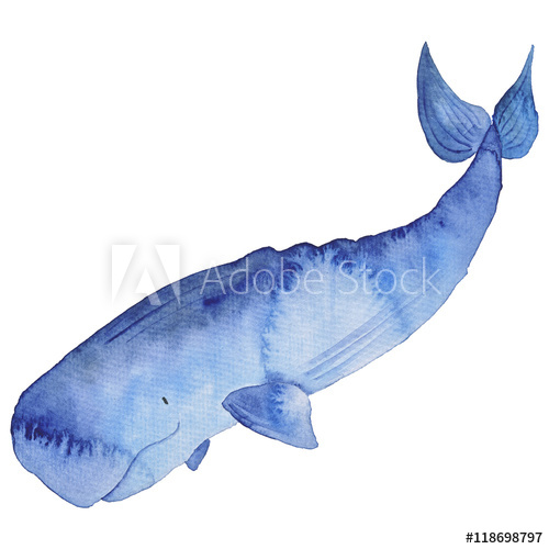 500x500 Whale Watercolor Hand Painted Illustration Sea Animals Blue Whales - Watercolor Sea Animals