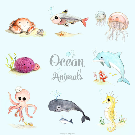 570x570 Ocean Themed Nursery, Ocean Animals Print Set, Sea Animals, Ocean - Watercolor Sea Creatures