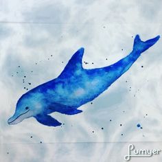 236x236 The 17 Best Watercolor Sea Creaturesmammals Images - Watercolor Sea Creatures