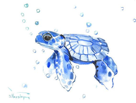 570x429 Watercolor Sea Creatures - Watercolor Sea Creatures