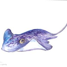 236x236 Watercolor Sea Creatures - Watercolor Sea Creatures