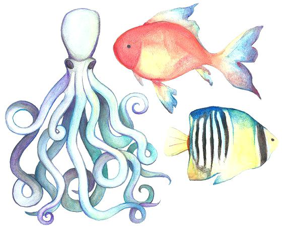 570x456 Sea Life Images Clip Art Watercolor Sea Life Watercolor Hand - Watercolor Sea Life