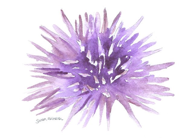 642x459 Urchin Watercolor Painting 5 X 7 Sea Life Purple Etsy - Watercolor Sea Life