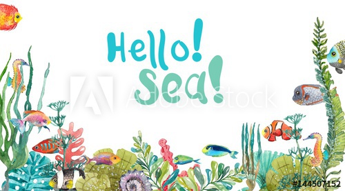500x277 Watercolor Sea Life, Seaweed, Shell, Fish, Sea Horse, Beautiful - Watercolor Sea Life