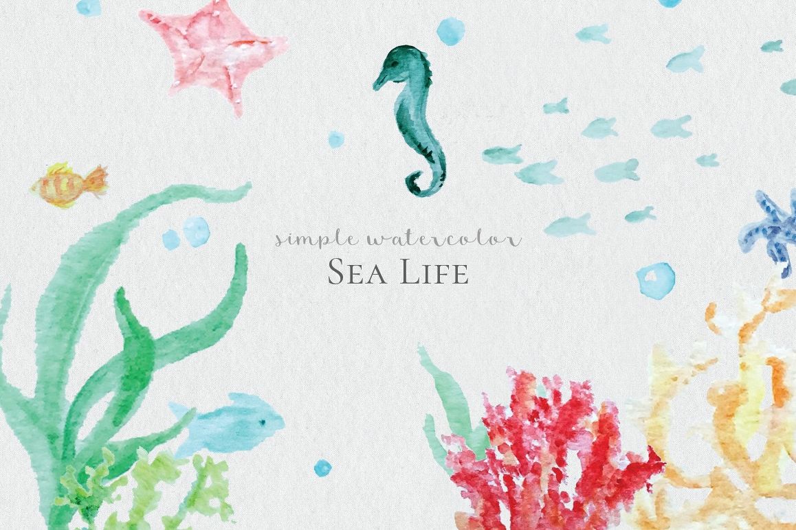 1158x772 Watercolor Sea Life - Watercolor Sea Life