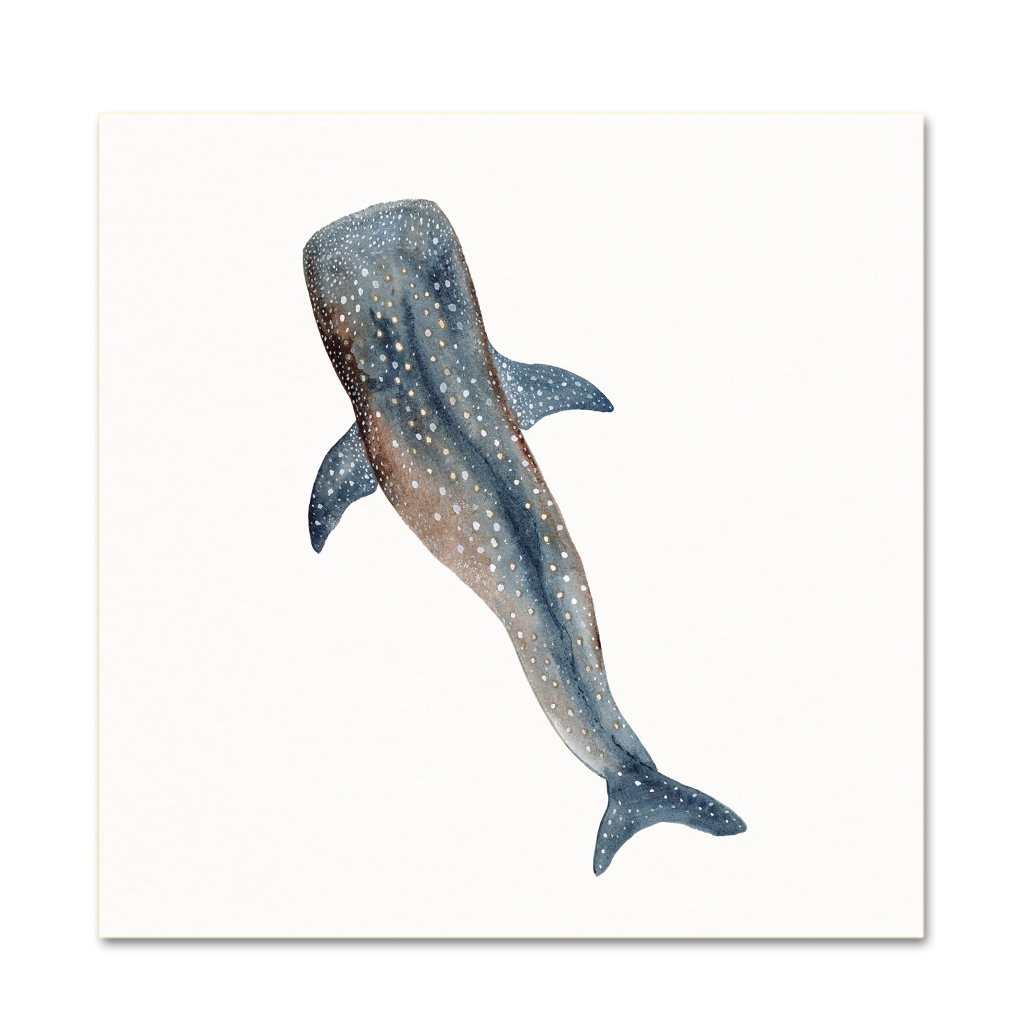 1475x1475 Whale Shark Art Print - Watercolor Sea Life