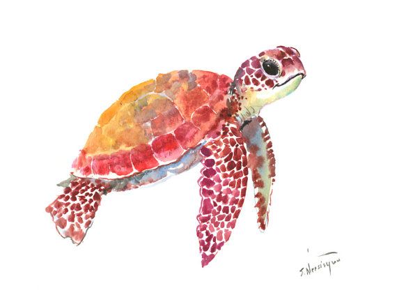 570x423 Sea Turtle, One Of A Kind Original Watercolor Painting 12 X 9 - Watercolor Sea Turtle