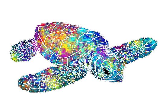550x371 Sea Turtle Watercolor Art Posters By Maryedenoa Redbubble - Watercolor Sea Turtle