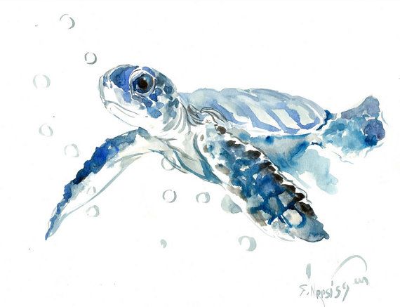 570x437 Sea Turtle Painting, Original Watercolor Painting, 14 X 11 In - Watercolor Sea Turtle