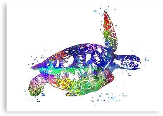 Watercolor Sea Turtle at PaintingValley.com | Explore collection of ...