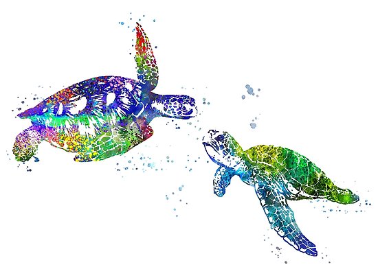 550x389 Sea Turtle, Watercolor Sea Turtle Posters By Rosaliartbook - Watercolor Sea Turtle