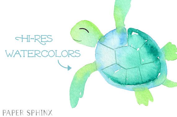 570x379 Watercolor Sea Turtle Clipart - Watercolor Sea Turtle