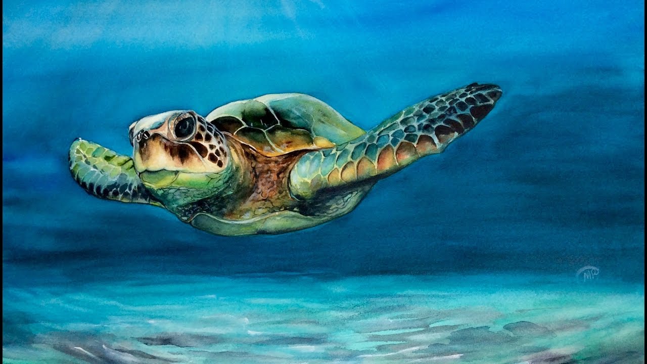 1280x720 Watercolor Sea Turtle Painting Demonstration - Watercolor Sea Turtle