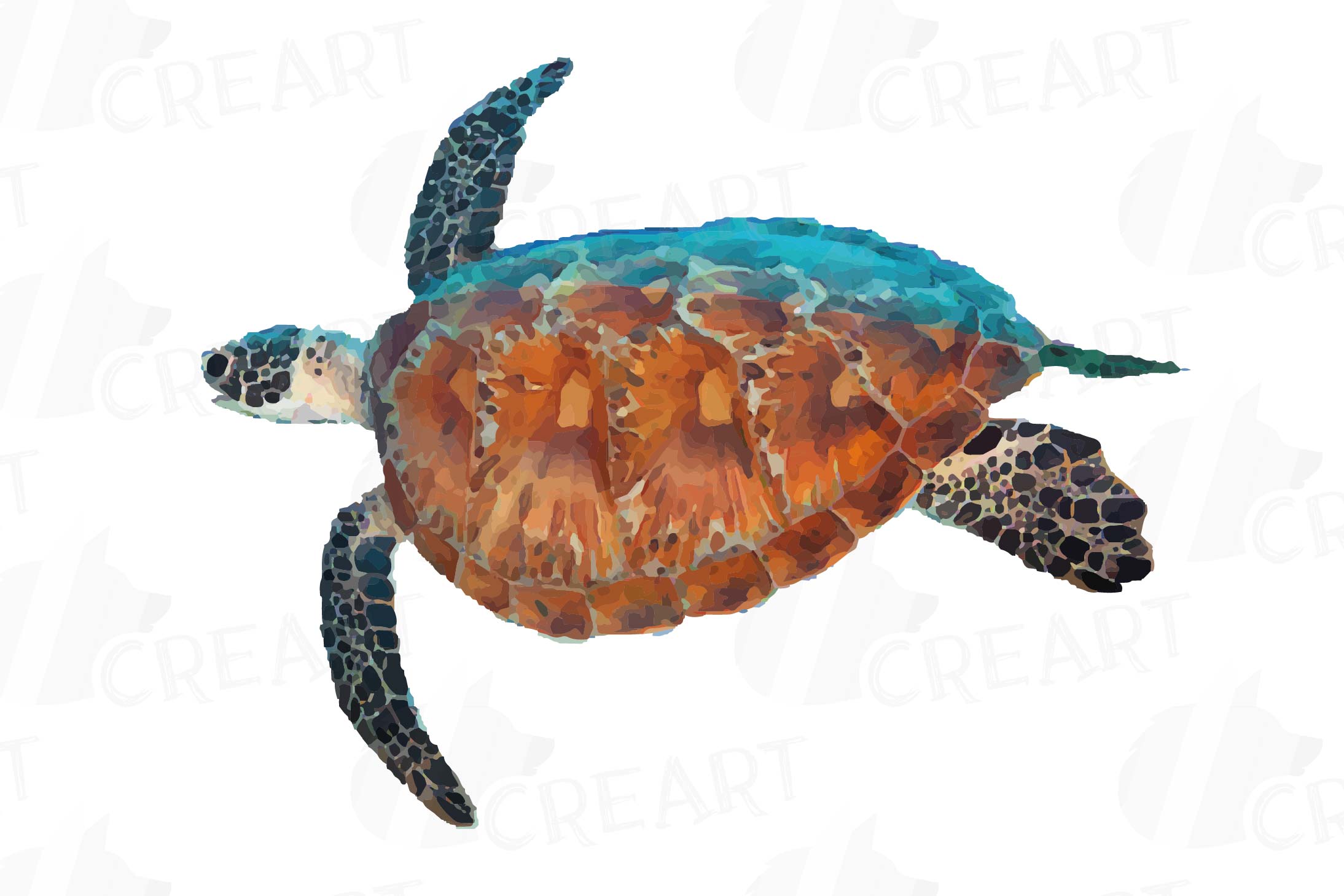 2188x1459 Watercolor Sea Turtles Clip Art Pack, C Design Bundles - Watercolor Sea Turtle