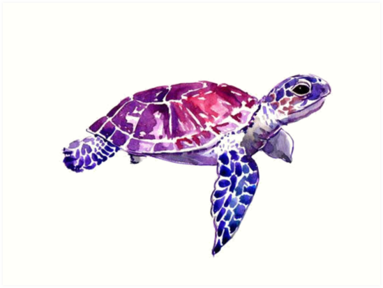 549x413 Ombre Watercolor Sea Turtles Art Prints By Mylittlecreatez - Watercolor Sea Turtle