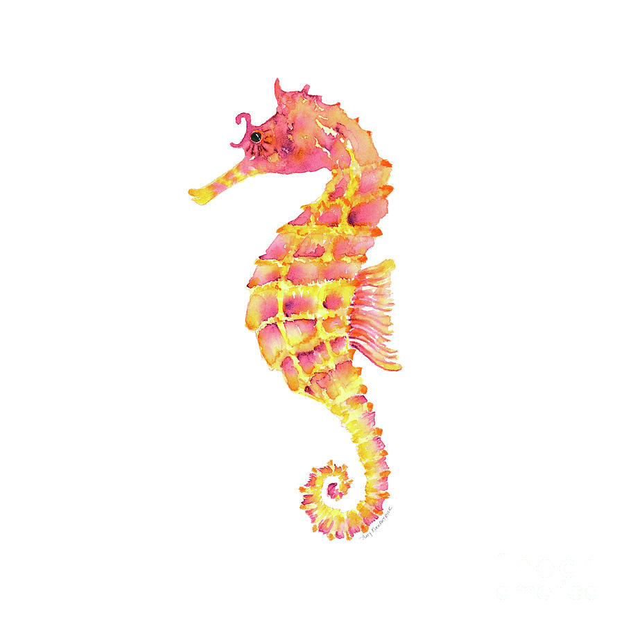 900x900 Pink Yellow Seahorse - Watercolor Seahorse