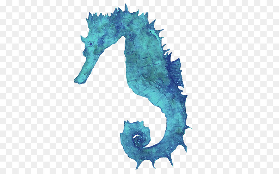 900x560 Seahorse Watercolor Animals Watercolor Painting Art - Watercolor Seahorse