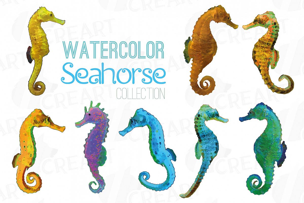 1200x800 Seahorse Watercolor Clip Art Pack, Colo Design Bundles - Watercolor Seahorse