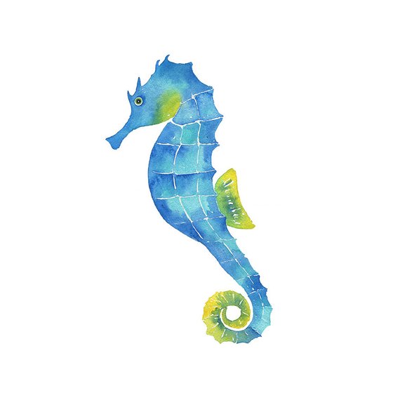 570x570 Watercolor Seahorse Clipart Painting Print Hand Painted Etsy - Watercolor Seahorse