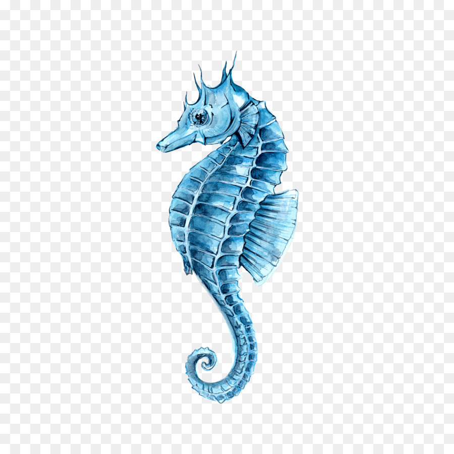 900x900 Drawing Watercolor Painting Seahorse Clip Art - Watercolor Seahorse