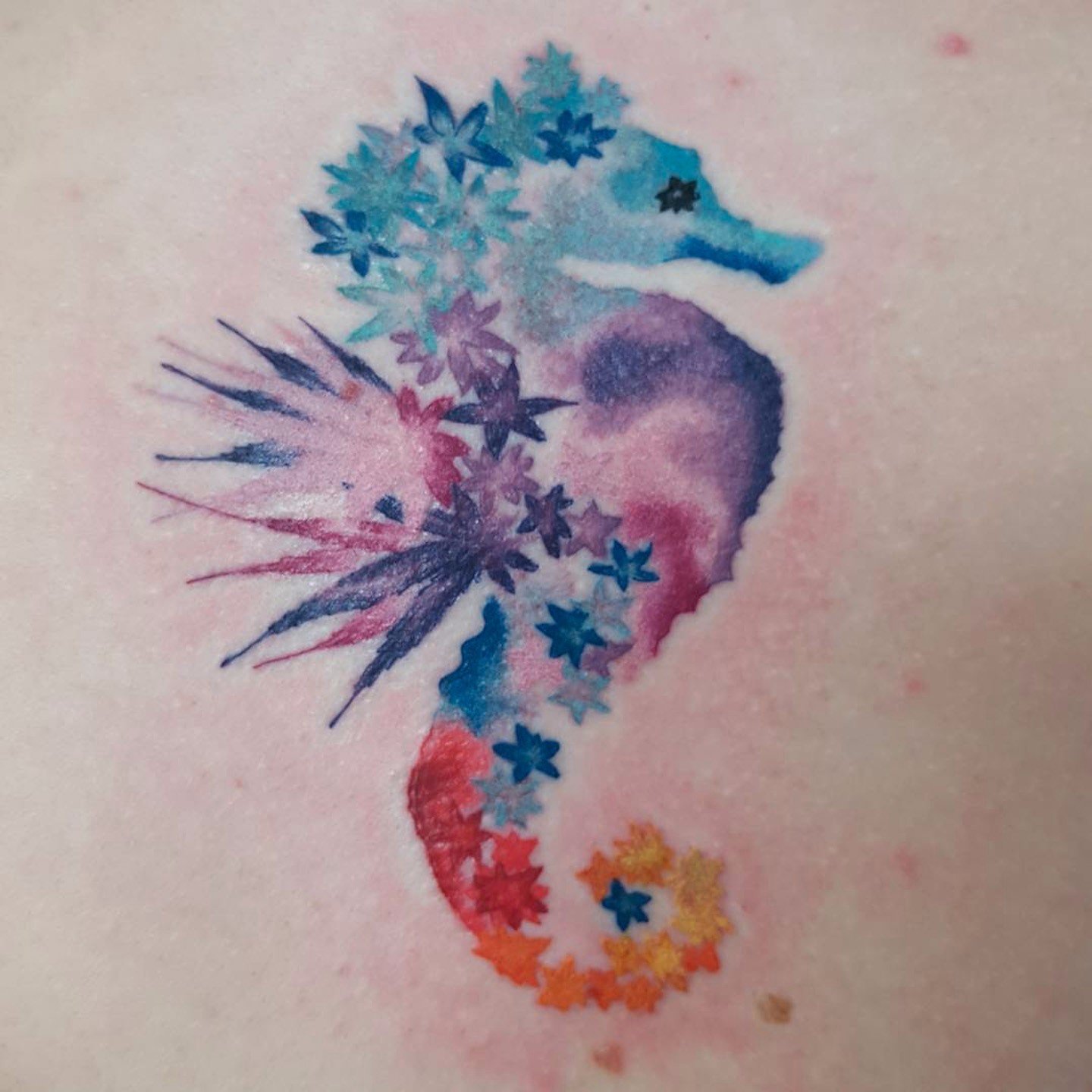 1440x1440 Seahorse Tattoo Ideas Popsugar Beauty - Watercolor Seahorse Tattoo