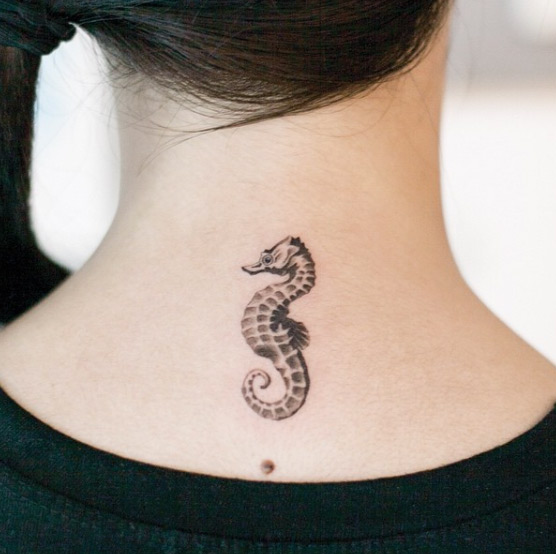 556x554 50 Adorably Cute Seahorse Tattoos - Watercolor Seahorse Tattoo
