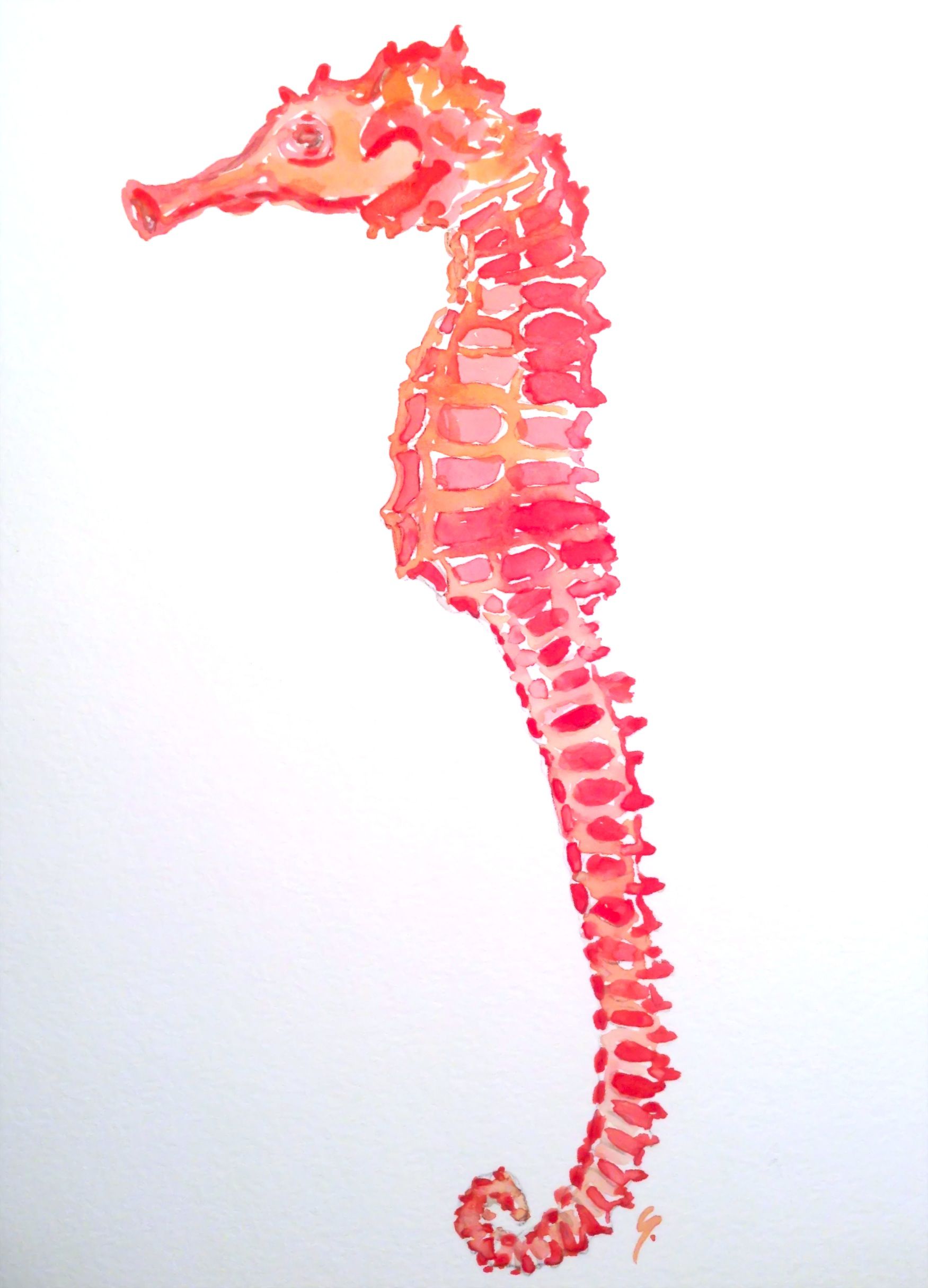 1751x2429 Coral Seahorse Watercolor 9x12 By Gina Feddersen Tattoos - Watercolor Seahorse Tattoo