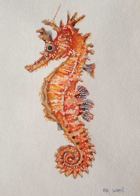 570x800 Hippocampe - Watercolor Seahorse Tattoo