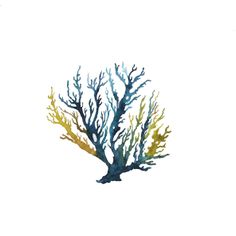 236x236 Lichen, Seaweed And Marmalade Pot - Watercolor Seaweed