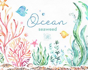 340x270 Seaweed Watercolor Etsy - Watercolor Seaweed
