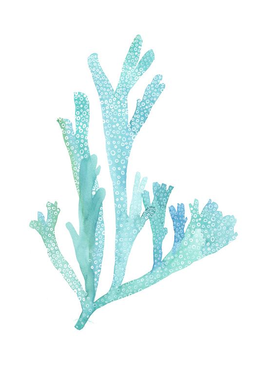 550x778 Turquoise Blue Seaweed Art Print By Sandra Ovono - Watercolor Seaweed