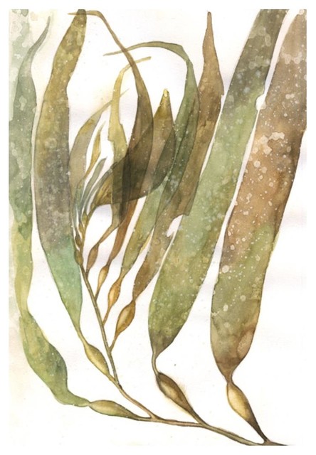 444x640 Watercolor Sea Kelp I Fine Art Piece - Watercolor Seaweed