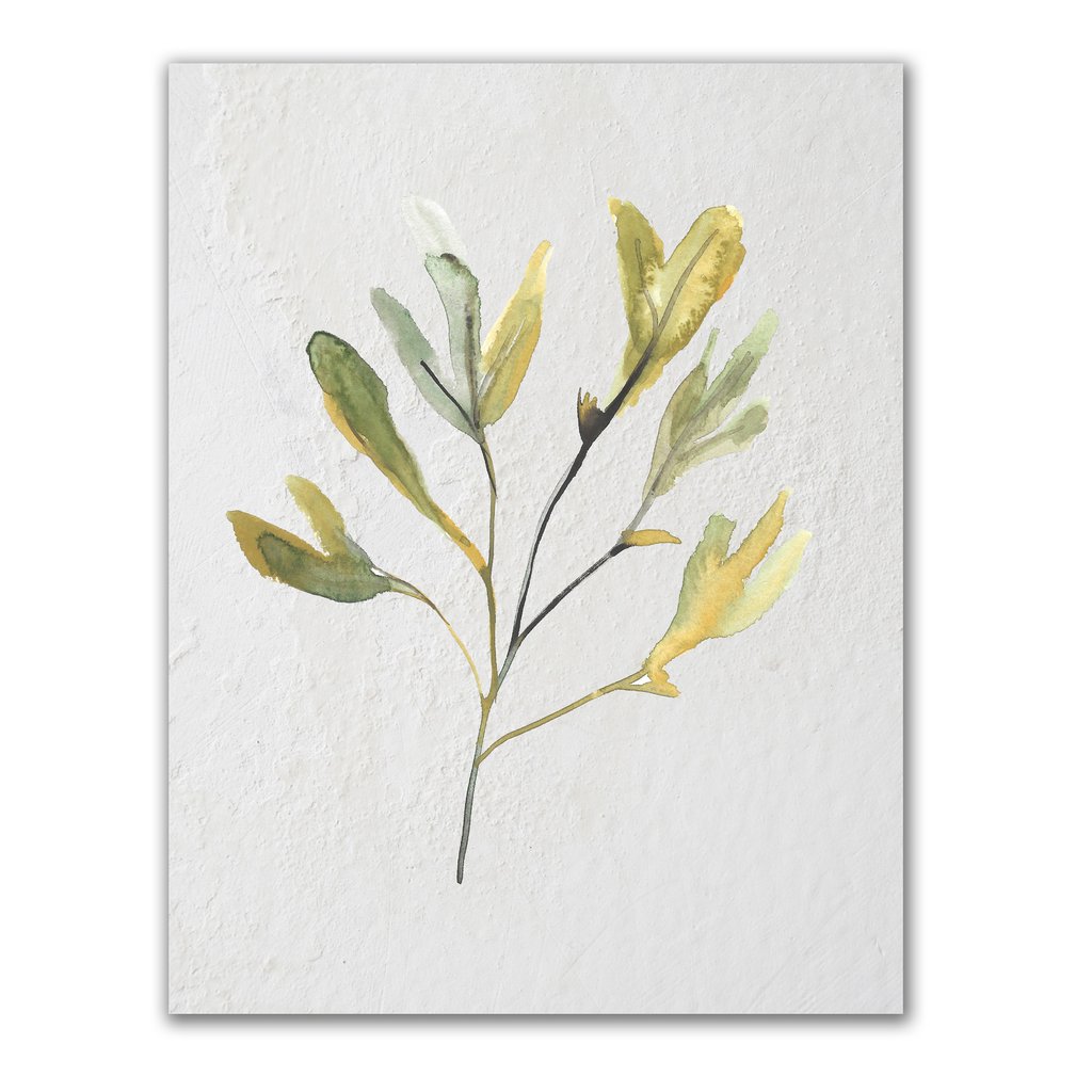 1024x1024 Watercolor Seaweed Art Print Jetty Home - Watercolor Seaweed