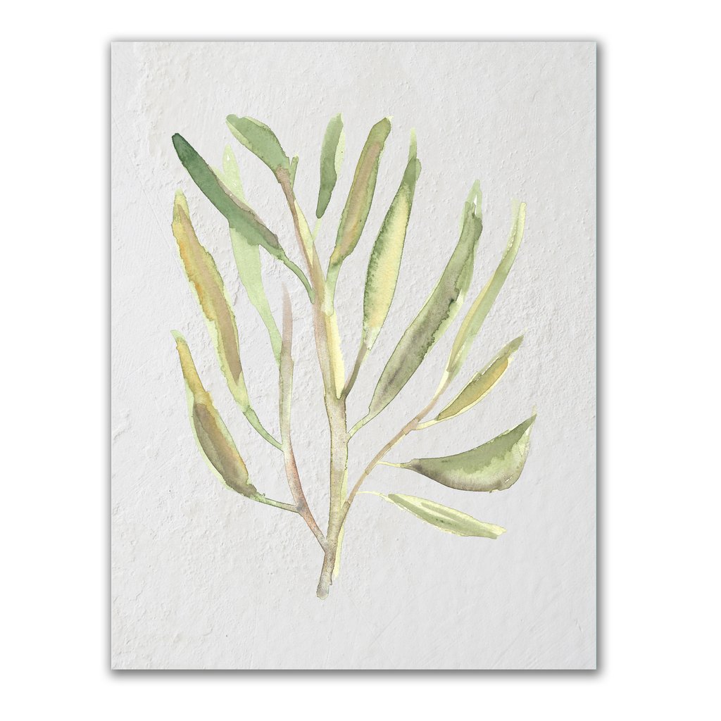 1024x1024 Watercolor Seaweed Print Jetty Home - Watercolor Seaweed