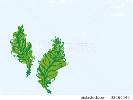 450x337 Water Color, Watercolor, Seaweed - Watercolor Seaweed