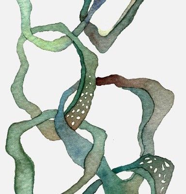 384x400 Drawn Seaweed Watercolor 23 - Watercolor Seaweed