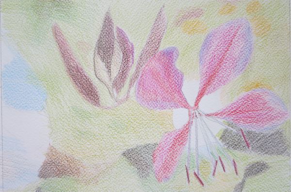 600x397 Sharpen Your Painting Skills With 4 Watercolor Pencil Techniques - Watercolor Shading Techniques