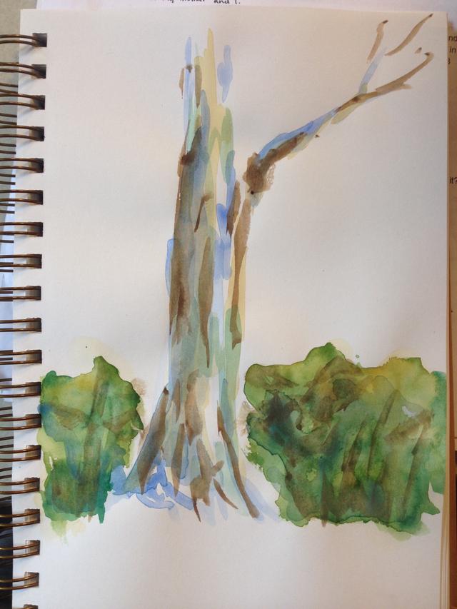 640x853 How To Use Layers In Watercolor To Paint A Tree - Watercolor Shadows