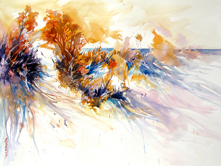 900x675 Rae Andrews - Watercolor Shadows