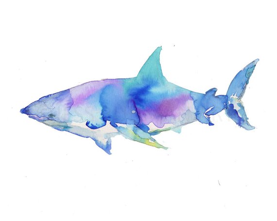 570x454 Great White Watercolor Print Shark Painting Shark Print Etsy - Watercolor Shark