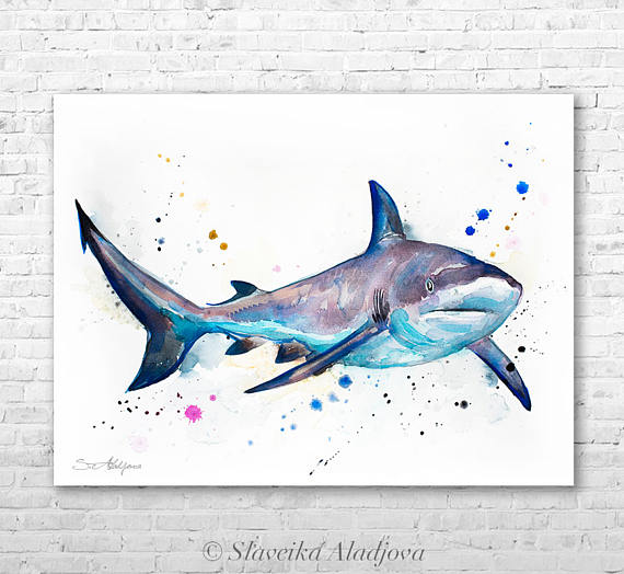 570x524 Grey Reef Shark Watercolor Painting Print By Slaveika - Watercolor Shark